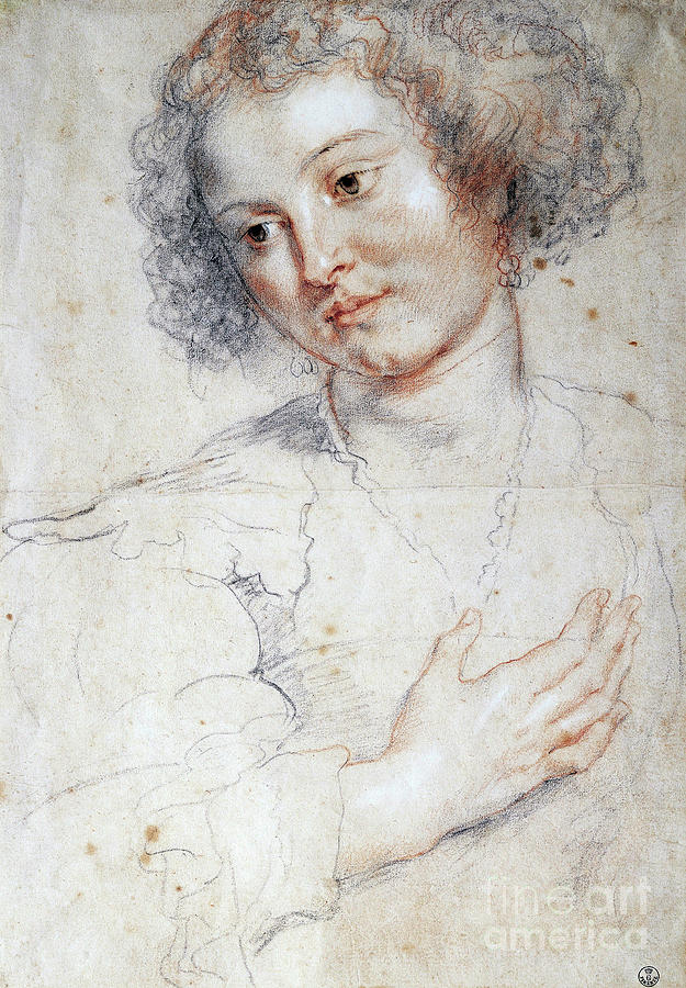 Portrait Of A Woman Drawing By Peter Paul Rubens Pixels