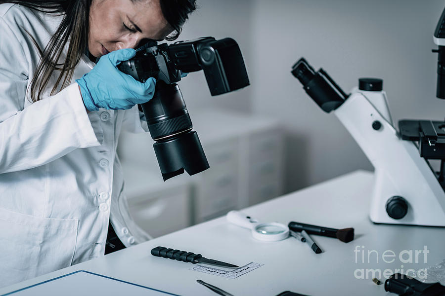 Forensics Expert Examining Crime Scene Evidence Photograph By Microgen