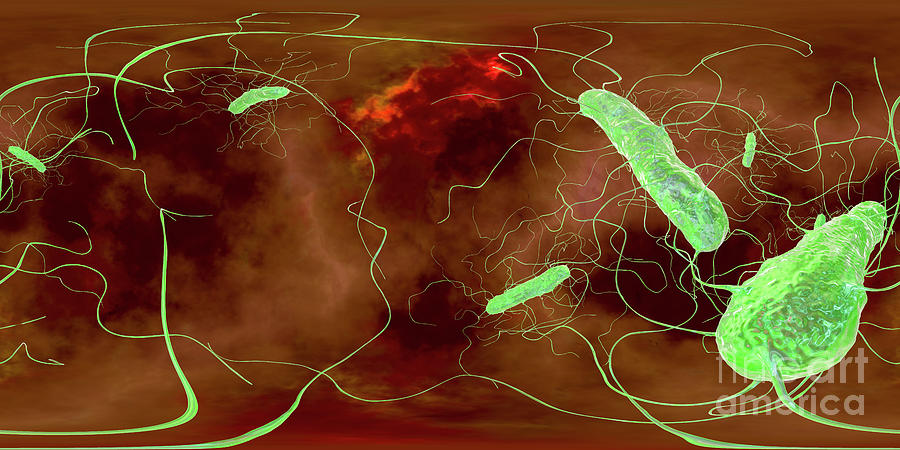 Clostridium Difficile Bacteria Photograph By Kateryna Kon Science Photo