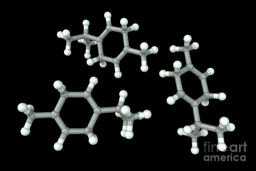 Gamma Terpinene Molecule 4 Photograph By Kateryna Kon Science Photo