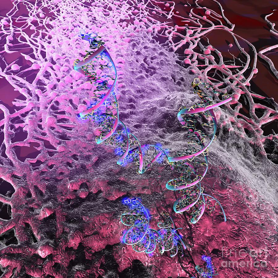 Circulating Tumor Dna Photograph By Ella Maru Studio Science Photo