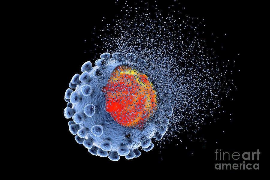 Eradicating Covid Coronavirus Photograph By Kateryna Kon Science