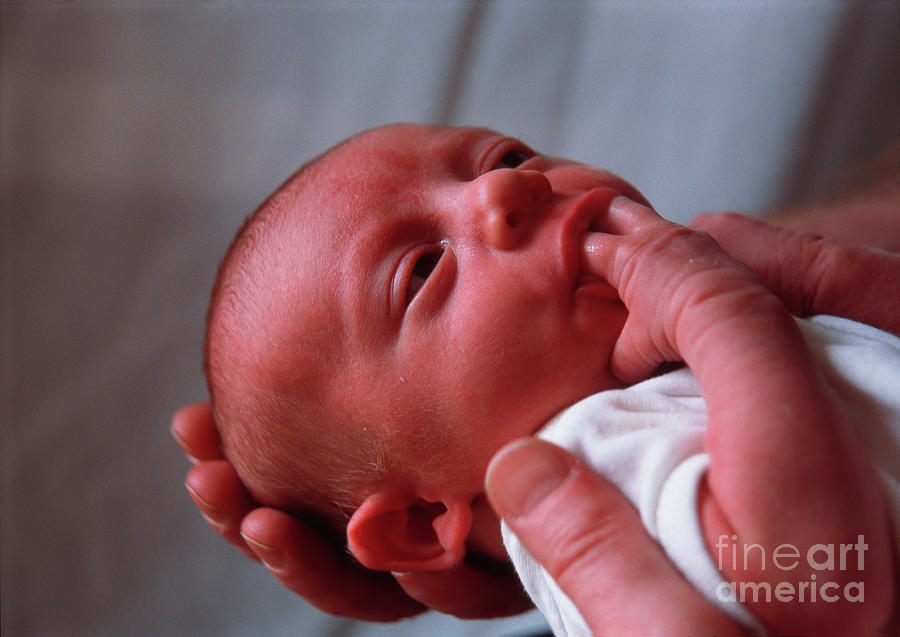 Newborn Baby Photograph By Simon Fraser Science Photo Library