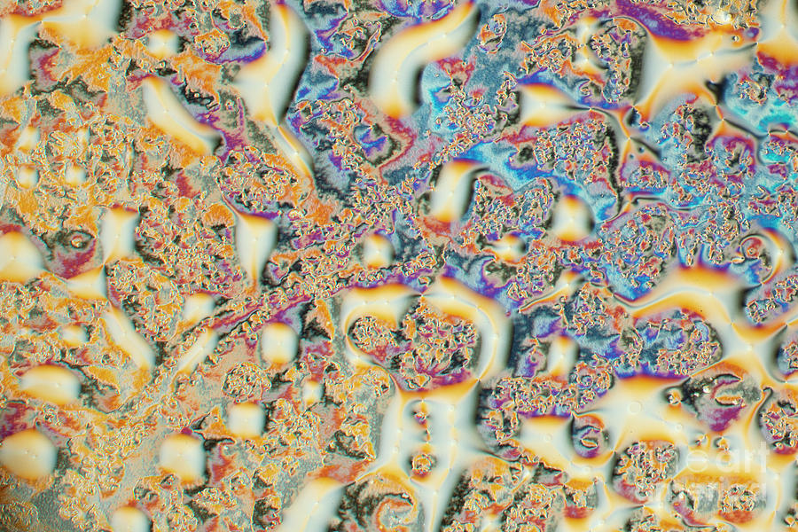 Liquid Crystal Photograph By Karl Gaff Science Photo Library Fine