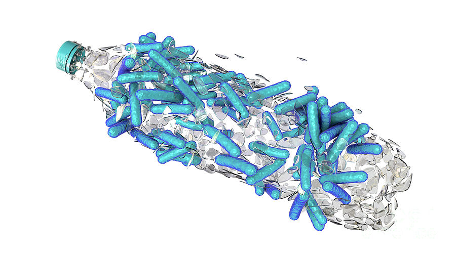 Plastic Degrading Bacteria Photograph By Kateryna Kon Science Photo Library