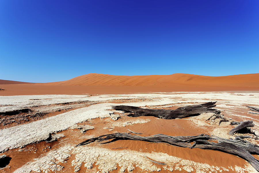 Beautiful Landscape Of Hidden Vlei In Namib Desert Photograph By Artush