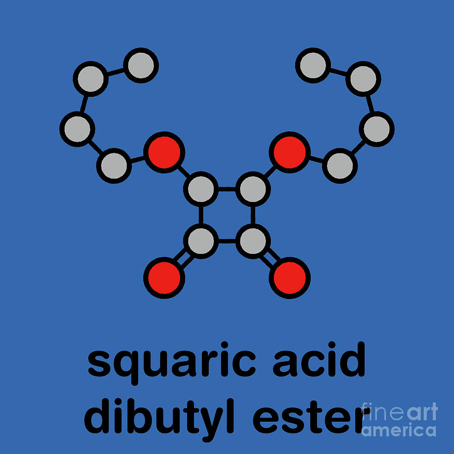 Squaric Acid Dibutyl Ester Drug Molecule By Molekuul Science Photo