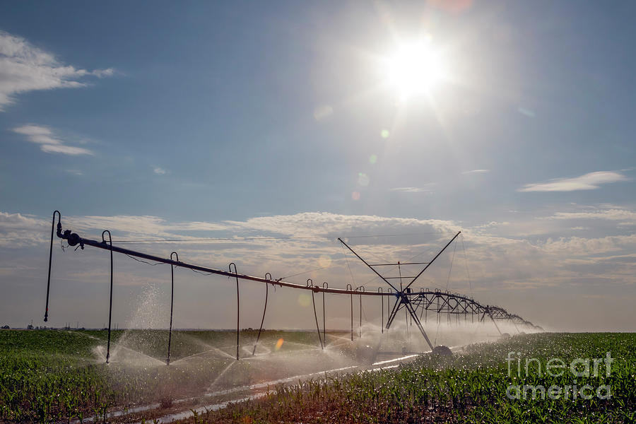 Center Pivot Irrigation Photograph By Jim West Science Photo Library