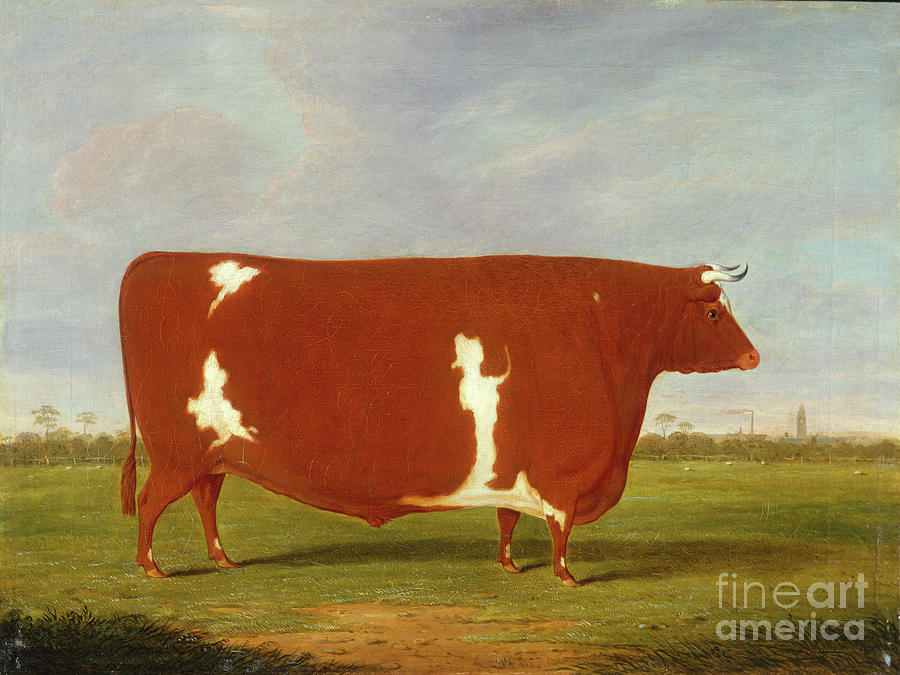 A Prize Bull Standing In A Landscape 1812 Painting By Thomas Weaver