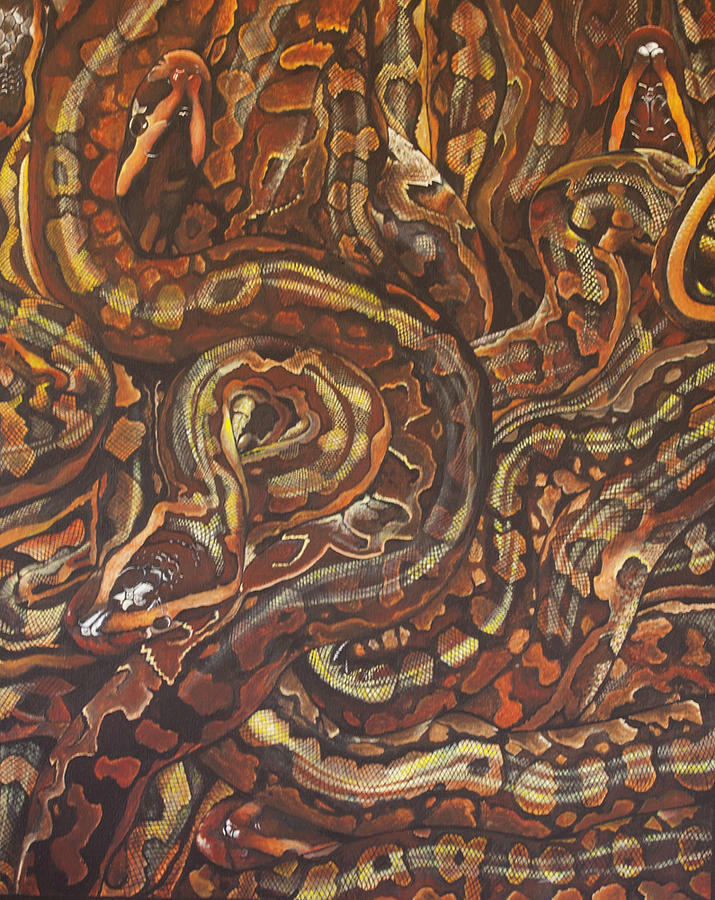 African Rock Pythons Painting By Jacob Taghioff Fine Art America