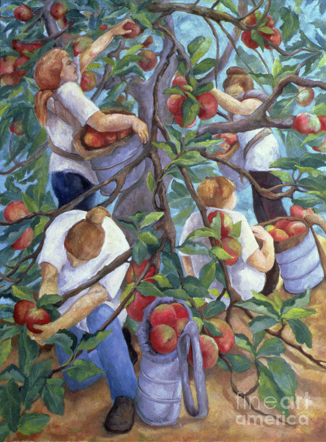 Apple Pickers Painting By Cristiana Angelini Fine Art America