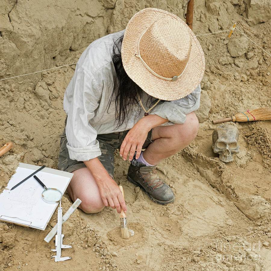 Профессия археолог