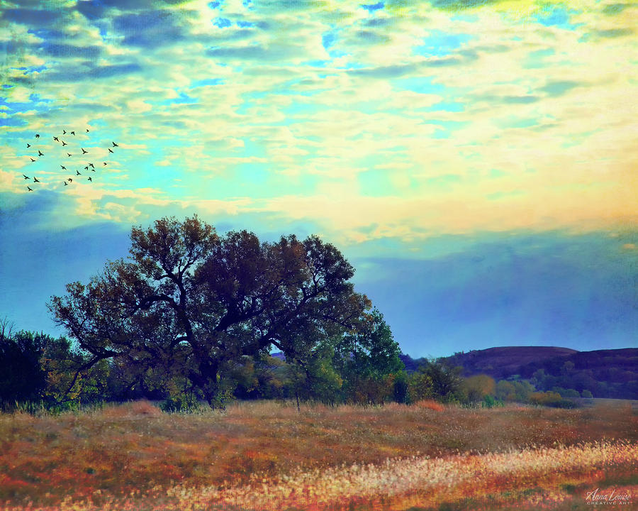 Autumn Flint Hills Morning Photograph By Anna Louise Pixels