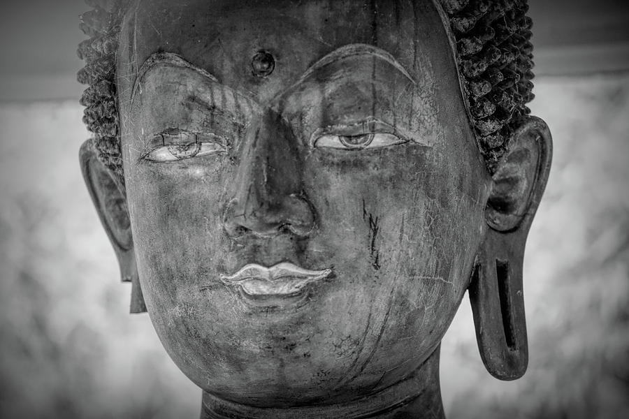 Buddha Avery Island Louisiana Photograph By Chuck Kuhn