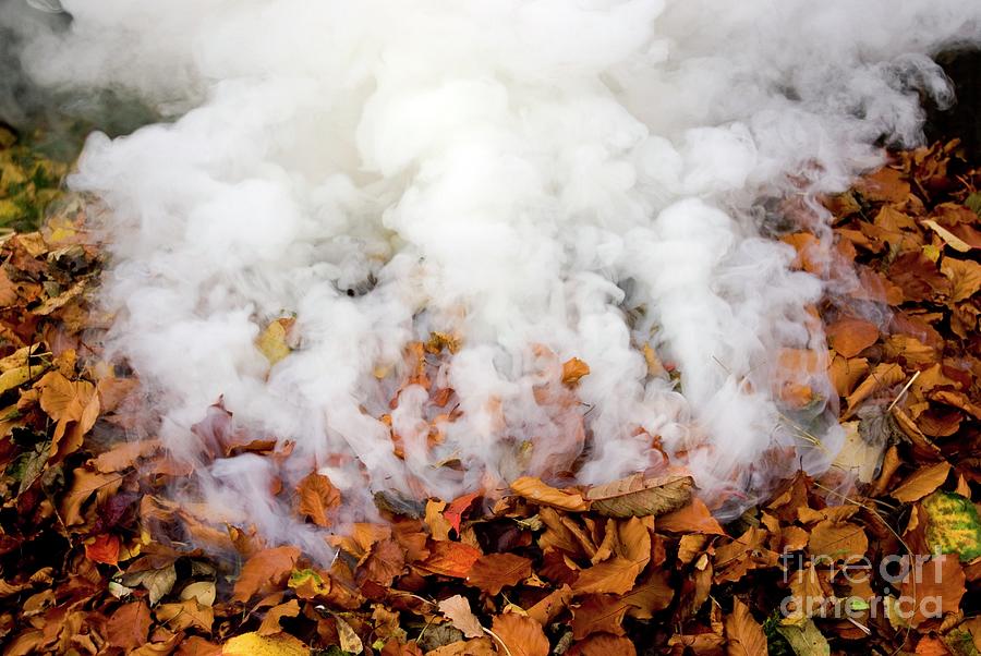 Domestic Bonfire Photograph By Mark Williamson Science Photo Library