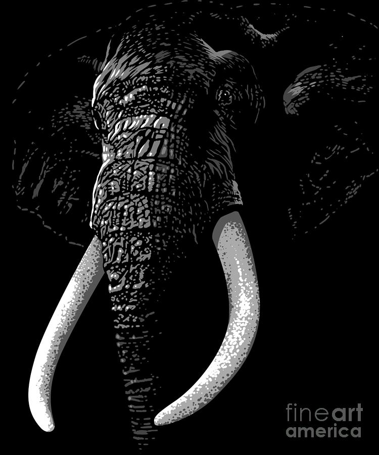 Elephant Shadow Digital Art By Albertees Fine Art America