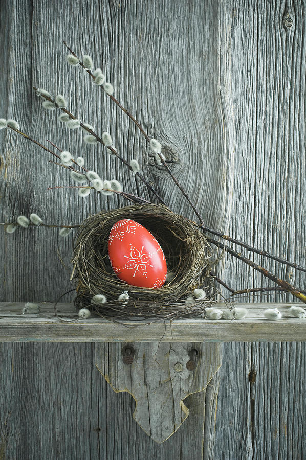 Hand Painted Red Easter Egg In Willow Nest And Branches Of Pussy Willow