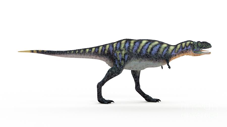 Illustration Of A Aucasaurus Photograph By Sebastian Kaulitzki Science