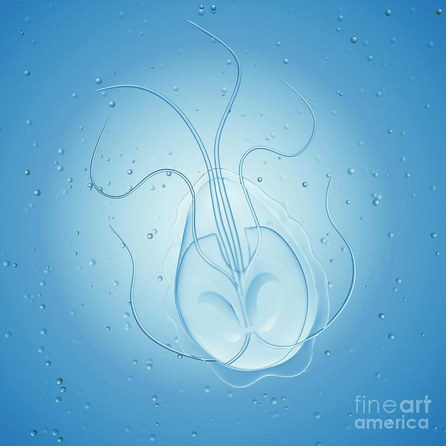 Illustration Of Giardia Parasites Photograph By Sebastian Kaulitzki