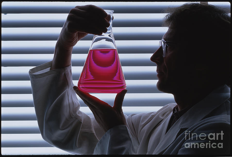 Lab Technician Holding A Conical Flask Photograph By Rosenfeld Images