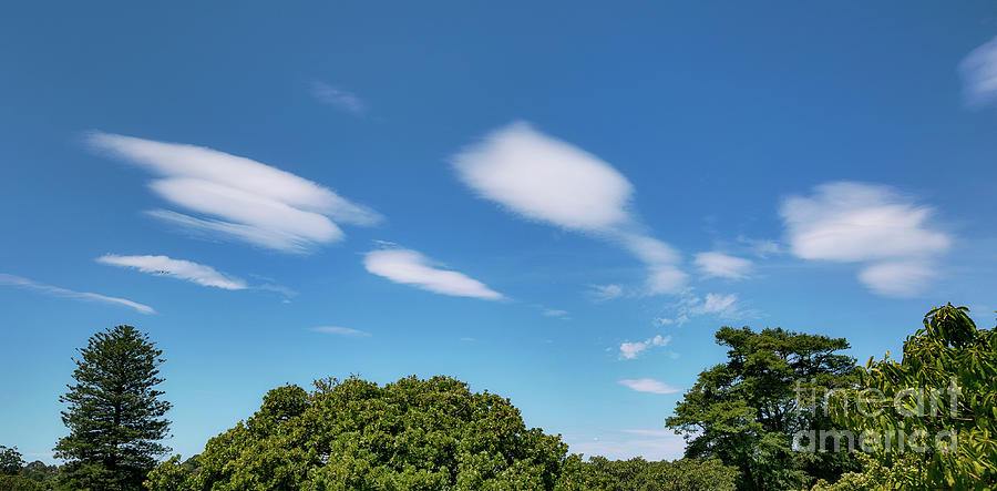 Lenticular Clouds Over Trees Photograph By Stephen Burt Science Photo