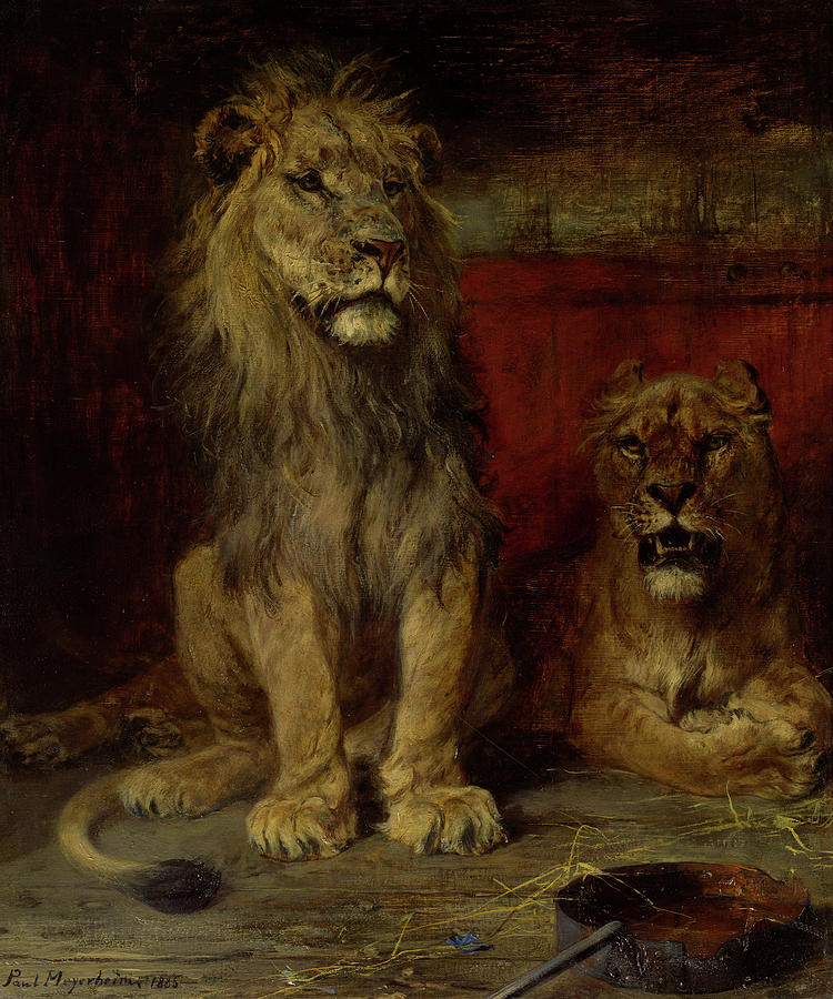 Lions Painting By Paul Friedrich Meyerheim Pixels