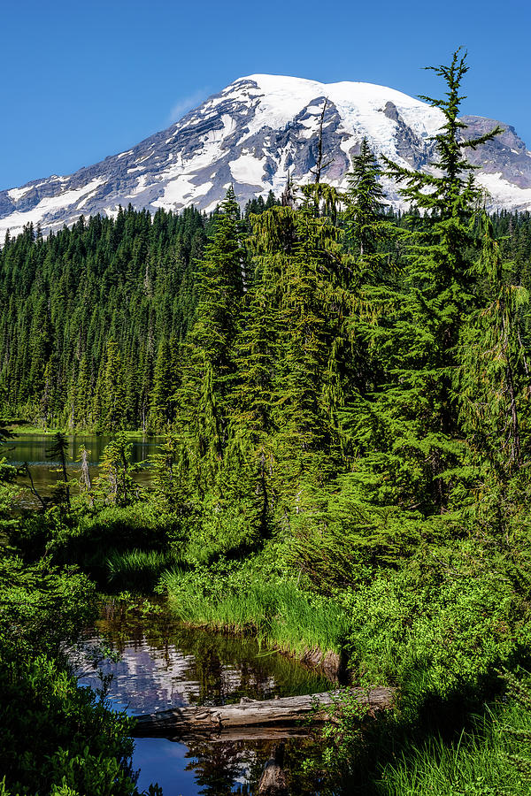 Mount Rainier Reflection Lake Photograph By Danny Collado Fine Art