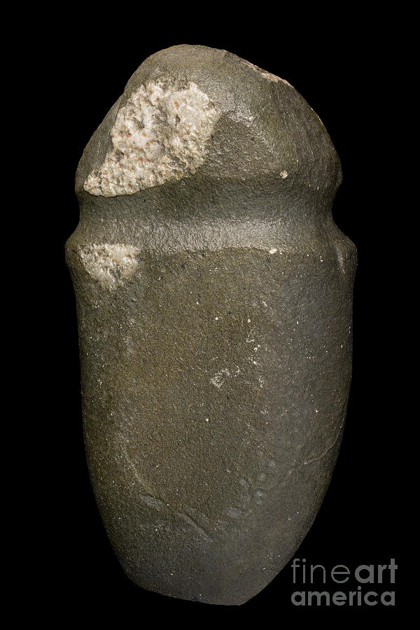 Neolithic Axe With A Basalt Throat Photograph By Pascal Goetgheluck