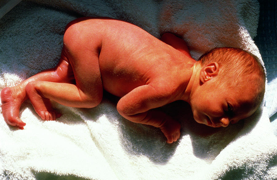 Newborn Baby Girl Photograph By James Stevenson Science Photo Library