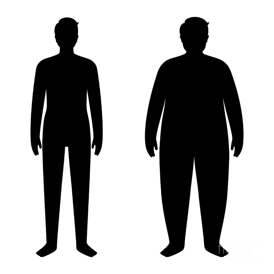 Obese And Normal Weight Man Photograph By Pikovit Science Photo