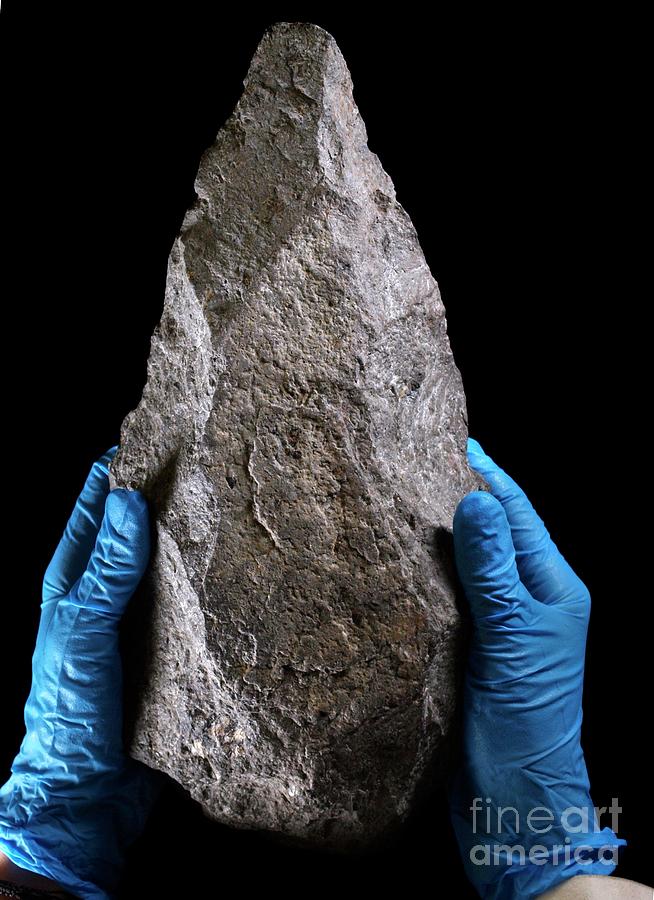 Olduvai Biface Stone Tool Photograph By Javier Trueba Msf Science Photo