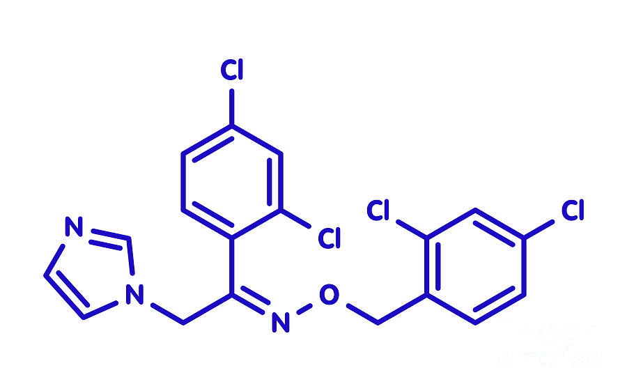 Oxiconazole Antifungal Drug Molecule By Molekuul Science Photo Library