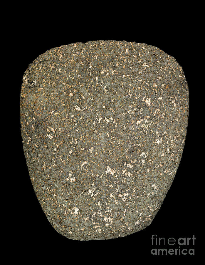 Polished Stone Axe Photograph By Pascal Goetgheluck Science Photo