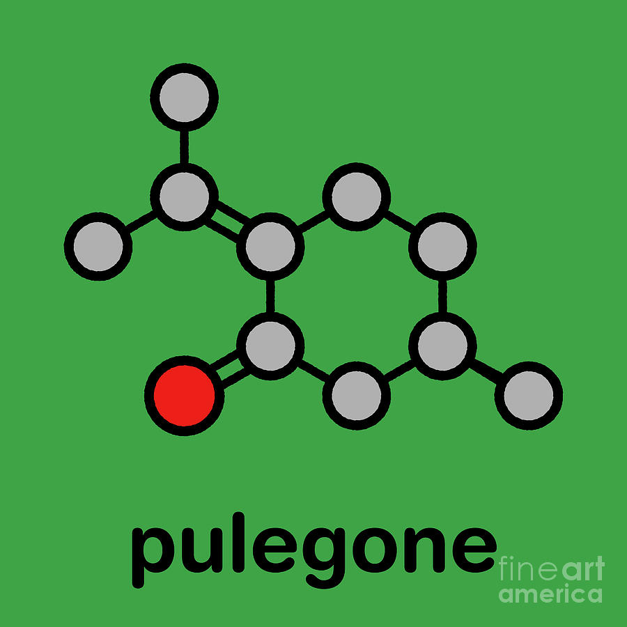 Pulegone Molecule Photograph By Molekuul Science Photo Library Pixels