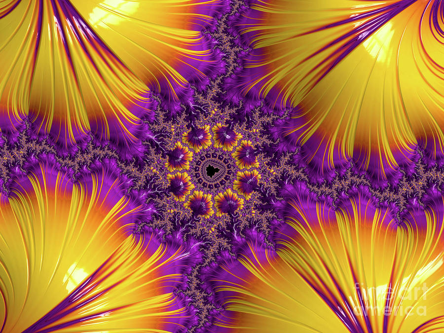 Purple And Gold Shells Digital Art By Elisabeth Lucas Pixels