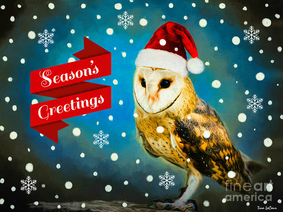 Seasons Greeting Owl Digital Art By Tina LeCour