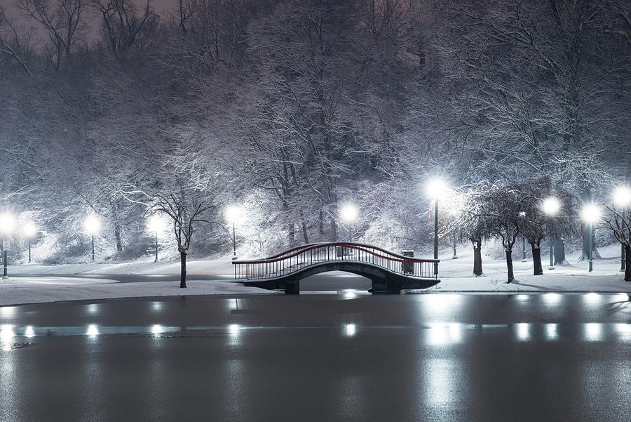 Snowy Winter Scene At Italian Lake In Harrisburg Pa Photograph By