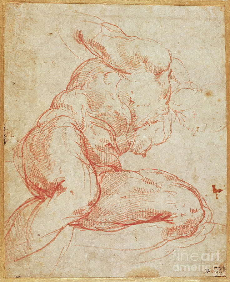 Study Of A Nude Drawing By Michelangelo Buonarroti Fine Art America