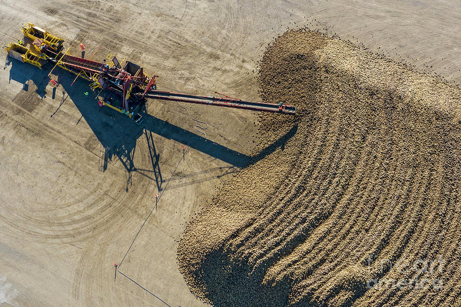 Sugar Beet Farming Photograph By Jim West Science Photo Library Fine