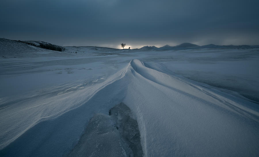 The Sunrise In Winter Photograph By Bingo Z Fine Art America