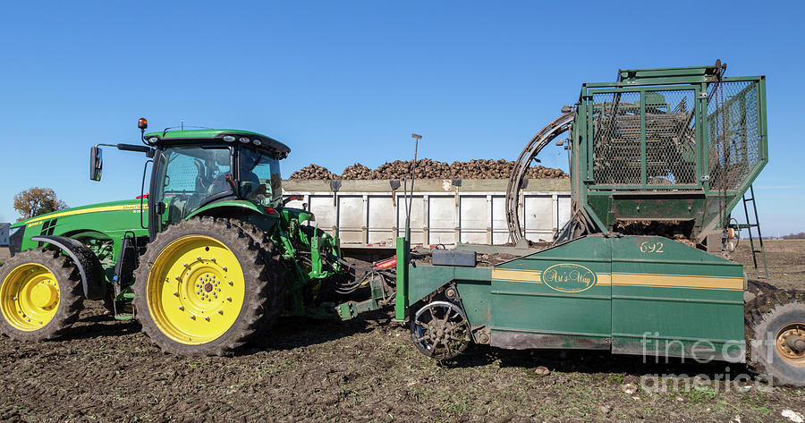 Tractor Pulling A Sugar Beet Harvester By Jim West Science Photo Library