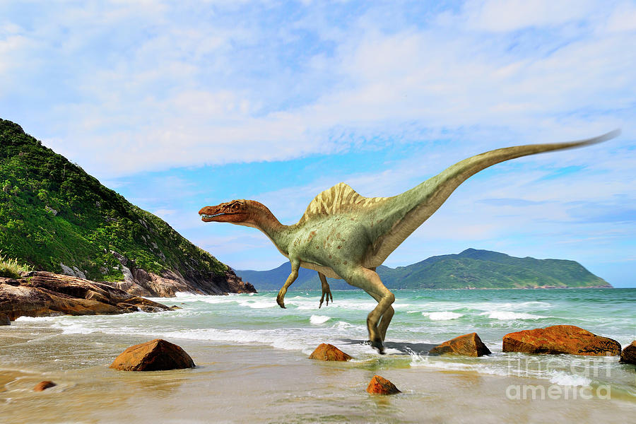 Vallibonavenatrix Dinosaur On A Beach Photograph By Jose Antonio Pe As