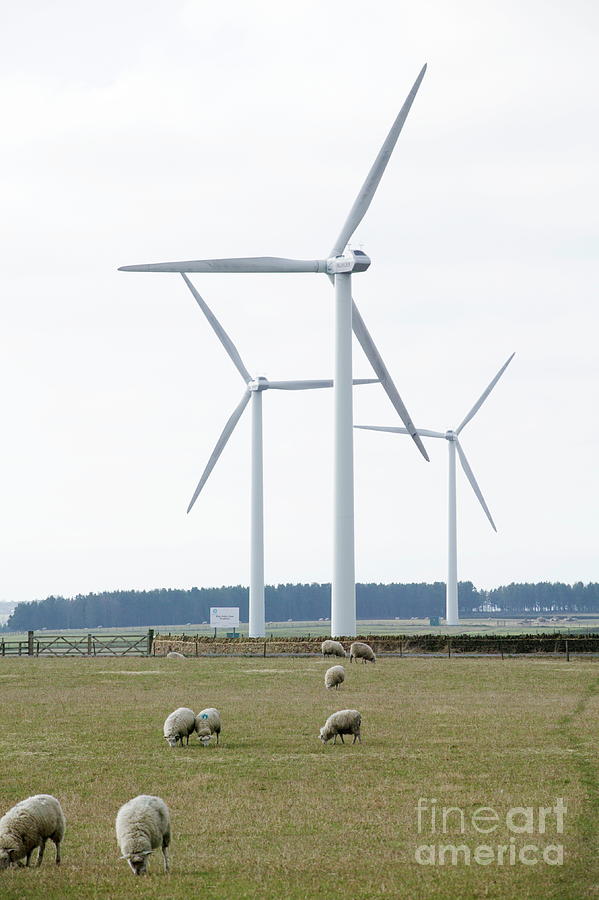 Wind Turbines Photograph By Michael Donne Science Photo Library Fine