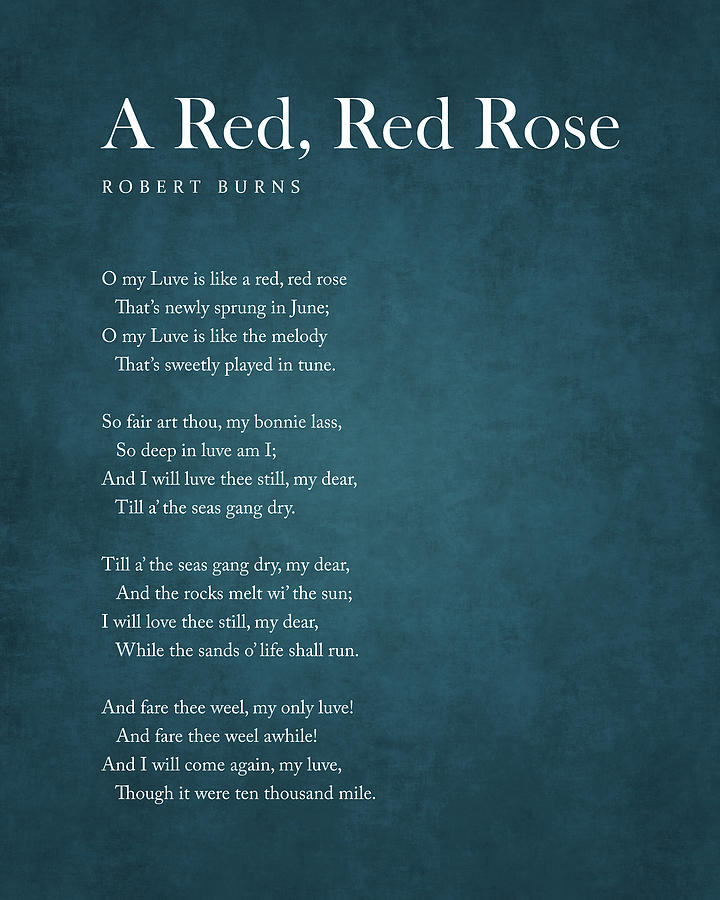 A Red Red Rose Robert Burns Poem Literature Typewriter Print