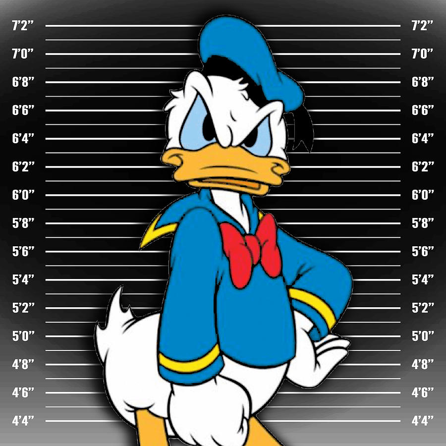 Donald Duck Mug Shot Mugshot Angry 1 Painting By Tony Rubino Pixels