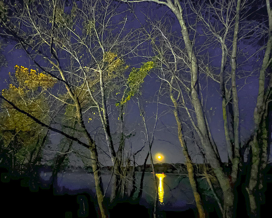 Moonrise On The Lake Photograph By Tom STRUTZ Fine Art America