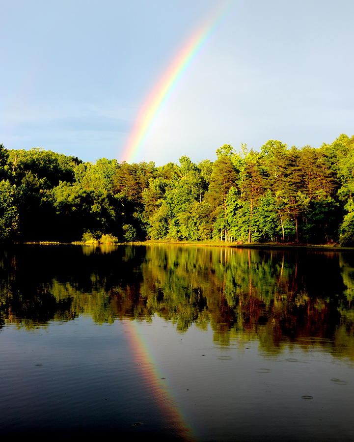 Rainbow On The Lake Photograph By Tom Strutz Fine Art America