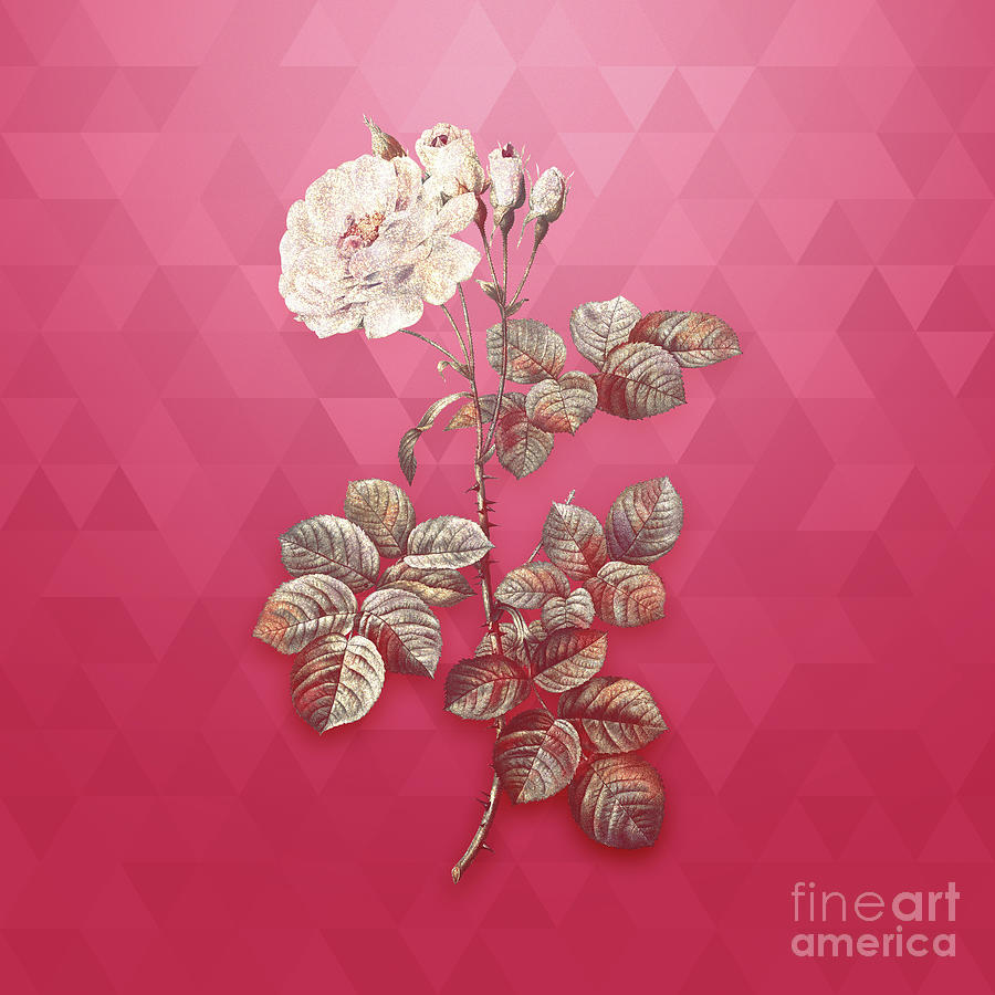 Vintage Damask Rose In Gold On Viva Magenta Mixed Media By Holy Rock