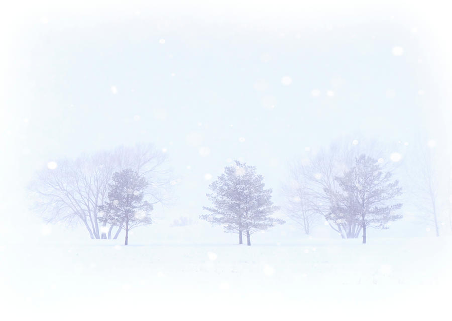 Prairie Winter Scenes Photograph By Mark Duffy Fine Art America