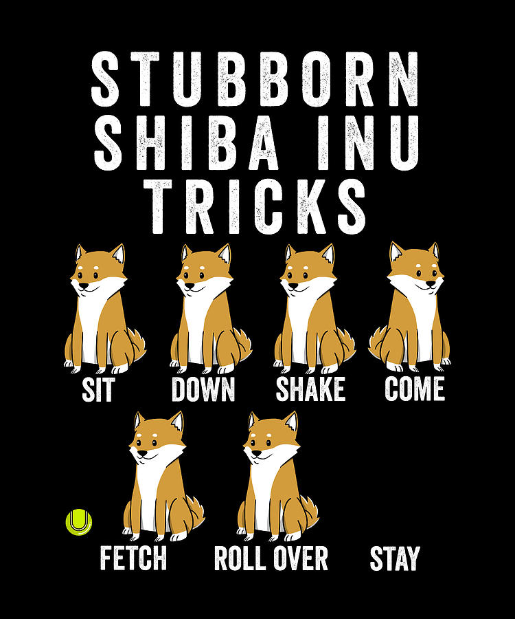 Stubborn Shiba Inu Tricks Digital Art By Jeff Chen Fine Art America